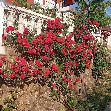 Woodstone Apartman Podgorica Kültér fotó