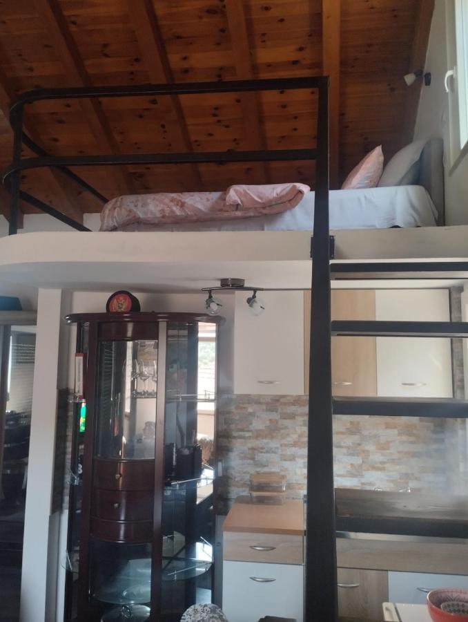 Woodstone Apartman Podgorica Kültér fotó